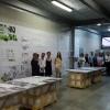 “Open Studios” 2017